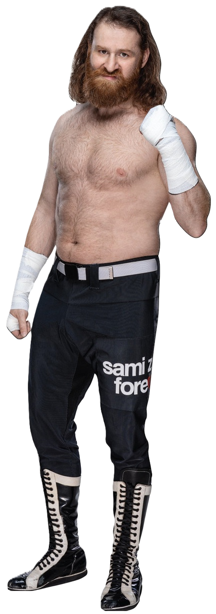 Sami Zayn